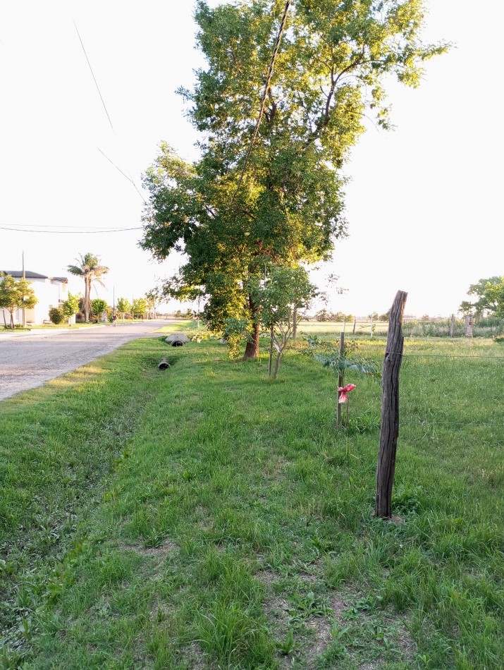 Terreno en San Carlos norte en venta !